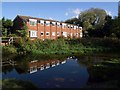 Bickerley Mill Stream