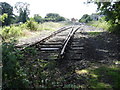 Approaching North Elmham station