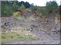 Disused quarry on Dowglen Hill