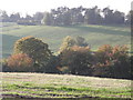 Looking over Gilford Castle grounds