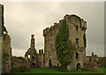 R6335 : Castles of Munster: Ballygrennan, Limerick (2) by Mike Searle