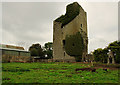 R5641 : Castles of Munster: Rathmore, Limerick (1) by Mike Searle