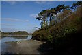 Camel Estuary Shoreline