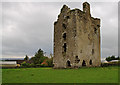 S0429 : Castles of Munster: Knockgraffon, Tipperary by Mike Searle