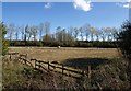 Fields near Hightown Lake