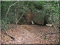 Descent to footbridge in Crimbourne Wood