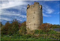S0860 : Castles of Munster: Ballynahow, Tipperary by Mike Searle