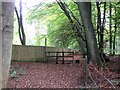 The Long Fence beside the footpath through Buckland Hoo wood