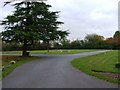 Greenlawn Memorial Park, Warlingham