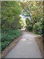 Path from Witley Station to Brook Road