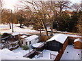 Bexley Park Wood in Snow