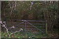 Gate on a track into Longbeech Wood