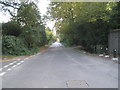 Looking southwards down Combe Lane