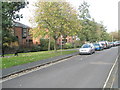 Autumn in Water Lane