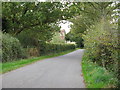 View west along Glasshouse Lane approaching Gandersgate houses on the left