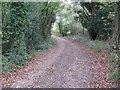 Gandersgate Lane (track)