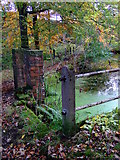 SE0614 : Sluice gate at Clough House mill pond, Slaithwaite by Pamela Norrington
