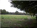 Footpath near Todenham Plantation