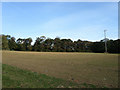 TQ3615 : Banew Field by Simon Carey