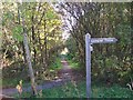 Footpath through the Llangoed Common Nature Reserve