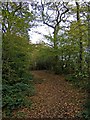 SO9580 : Path by edge of Uffmoor Wood, looking north by P L Chadwick