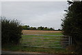 Gate to a field off Langton Rd