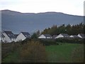 Houses at Swallow Brae