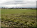 Farmland, Inch