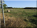 Footpath off Waterwell Lane