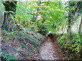 Bridleway up the Cotswold scarp 2