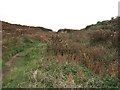 Footpath from the coast to Pencarnan