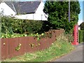 Telephone box, Mains of Balhall