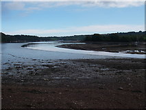 SX8555 : Low tide at Sandridge by Barry Deakin