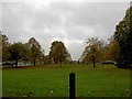 The edge of the Stray Harrogate from Devonshire Place