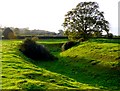 Moat near Cudworth