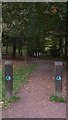 Pathway in Alice Holt Forest near the visitor centre