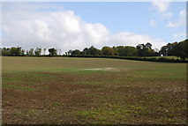 TQ5139 : Arable field, Chafford Park by N Chadwick