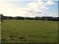 The Llangoed Rugby Ground