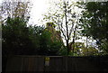 Stone Cross Oast in the trees