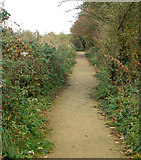 SP3761 : Footpath north to  Ufton from the nature reserve by Andy F