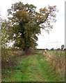 Farm track north of Harbury