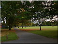 Tree-lined path in Clissold Park