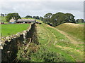 The north defensive ditch of Hadrian