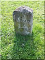 Milestone, Barford St Martin