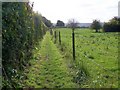 Jubilee Path, Barford St Martin