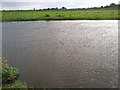 River Derwent near  Ellerton ings