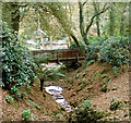 Footbridge on the woodland walk, Tregenna Estate