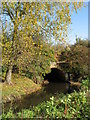 Roath Brook Bridge