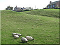 The north defensive ditch of Hadrian