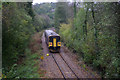 Looe branch north of Causeland